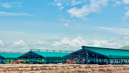 Establishing the foundational framework.